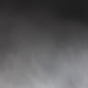 Meet your Posher, Tyra